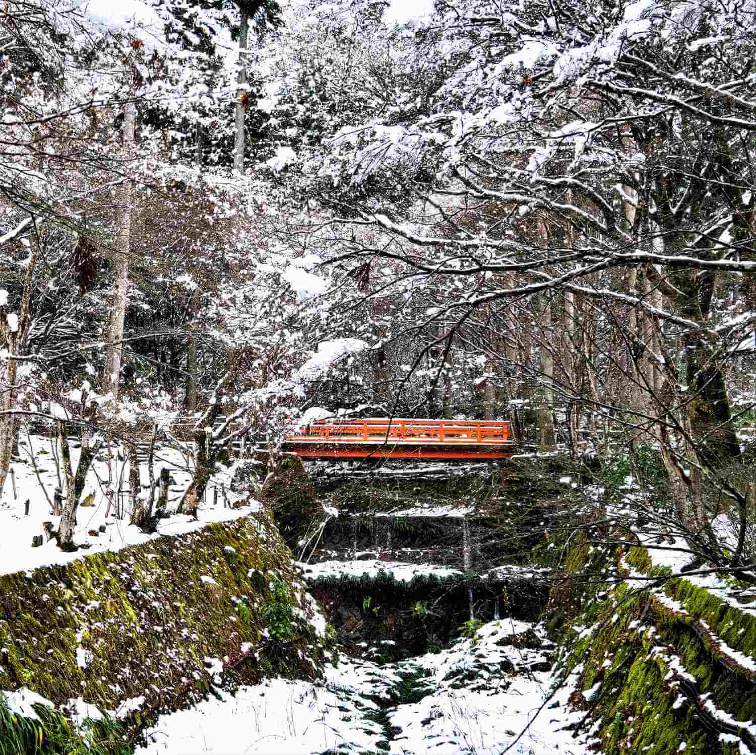 In the northern part of Kyoto, it sometimes snows in the winter =Shutterstock 6