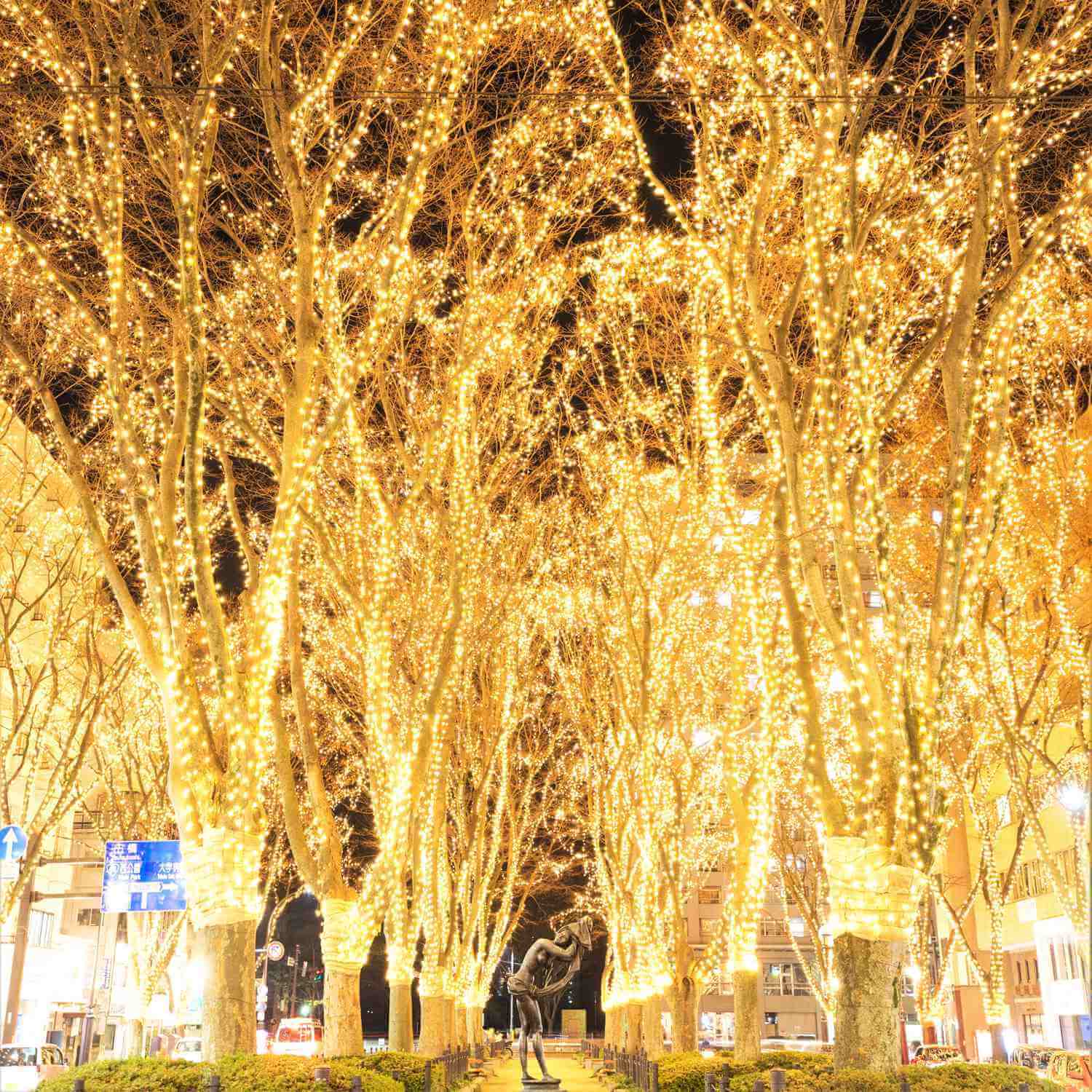 The Illmination "SENDAI PAGEANT OF STAR LIGHT" held in December in Sendai City, Miyagi Prefecture = AdobeStock 2