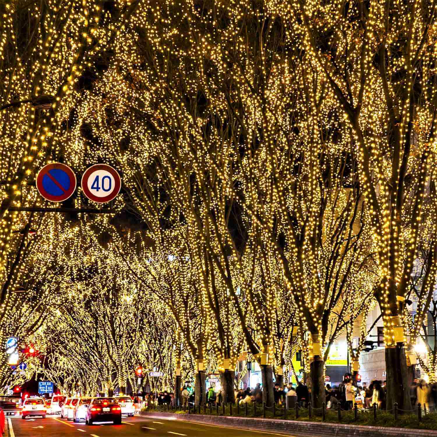 The Illmination "SENDAI PAGEANT OF STAR LIGHT" held in December in Sendai City, Miyagi Prefecture = Shutterstock 6