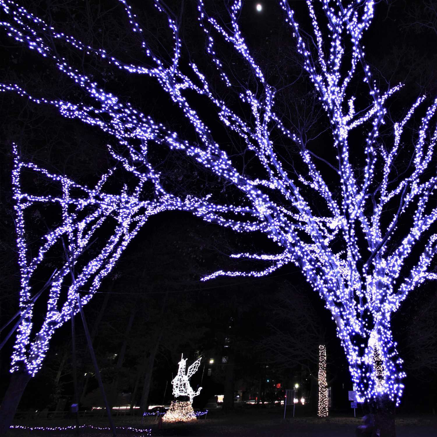 The Illmination "SENDAI PAGEANT OF STAR LIGHT" held in December in Sendai City, Miyagi Prefecture = Shutterstock 7