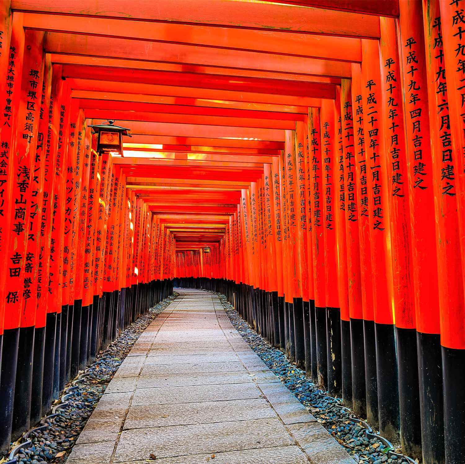 Fushimi Inari Taisha Shrine in Kyoto = AdobeStock 4