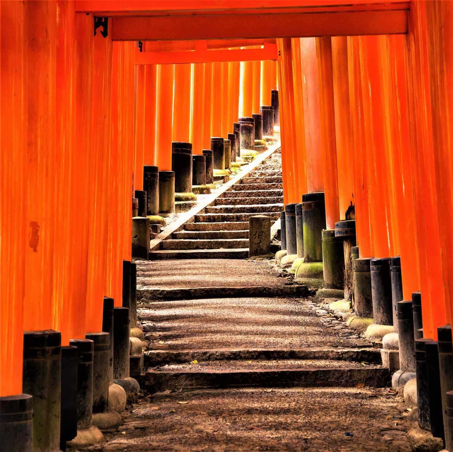Fushimi Inari Taisha Shrine in Kyoto = AdobeStock 8