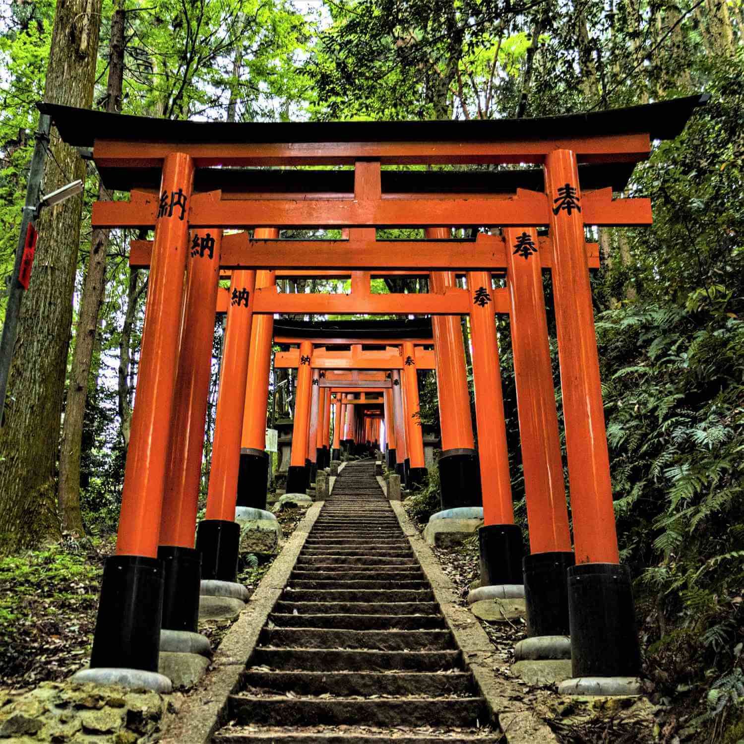 Fushimi Inari Taisha Shrine in Kyoto = AdobeStock 9