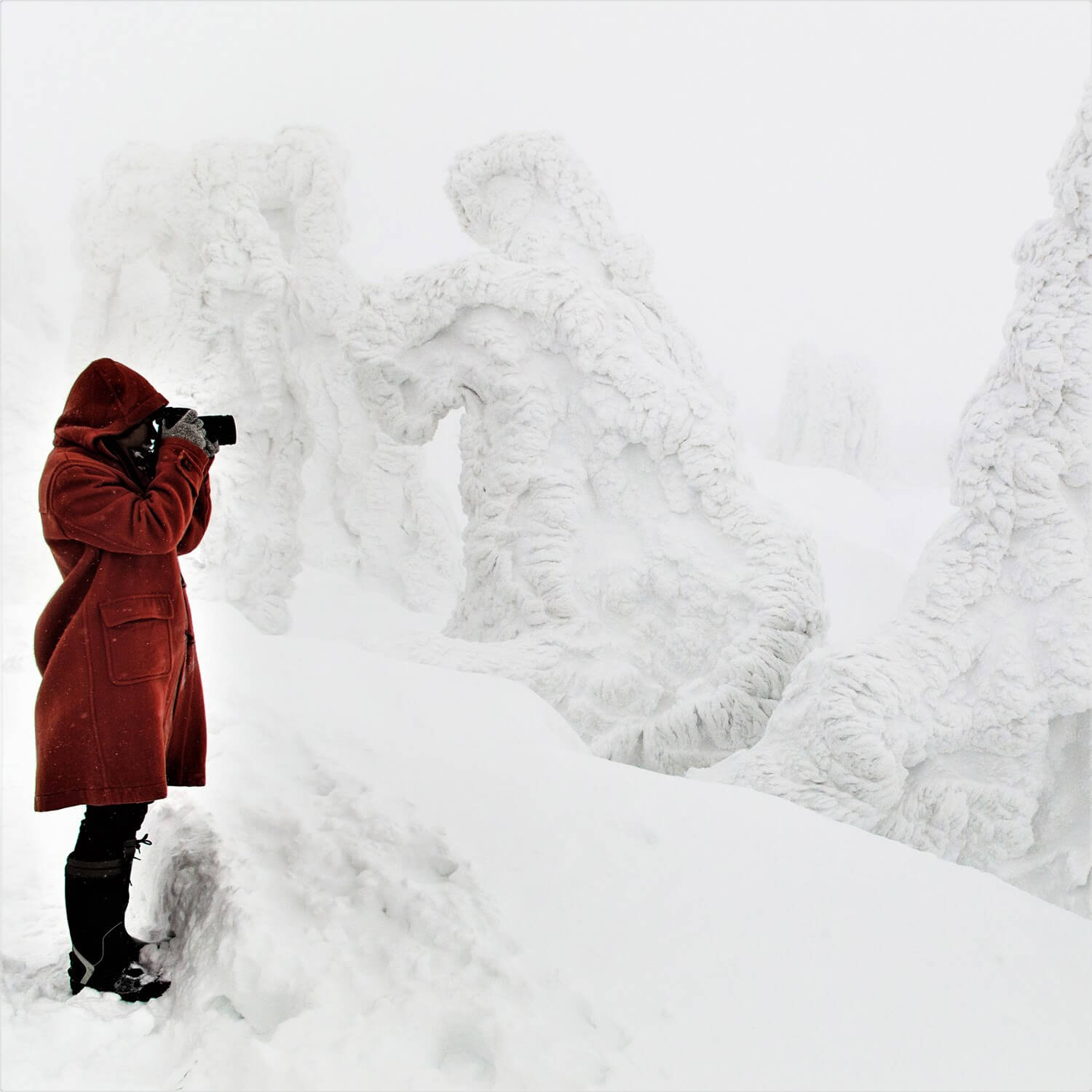 Photos: Hakkoda Mountain in heavy snowfall
