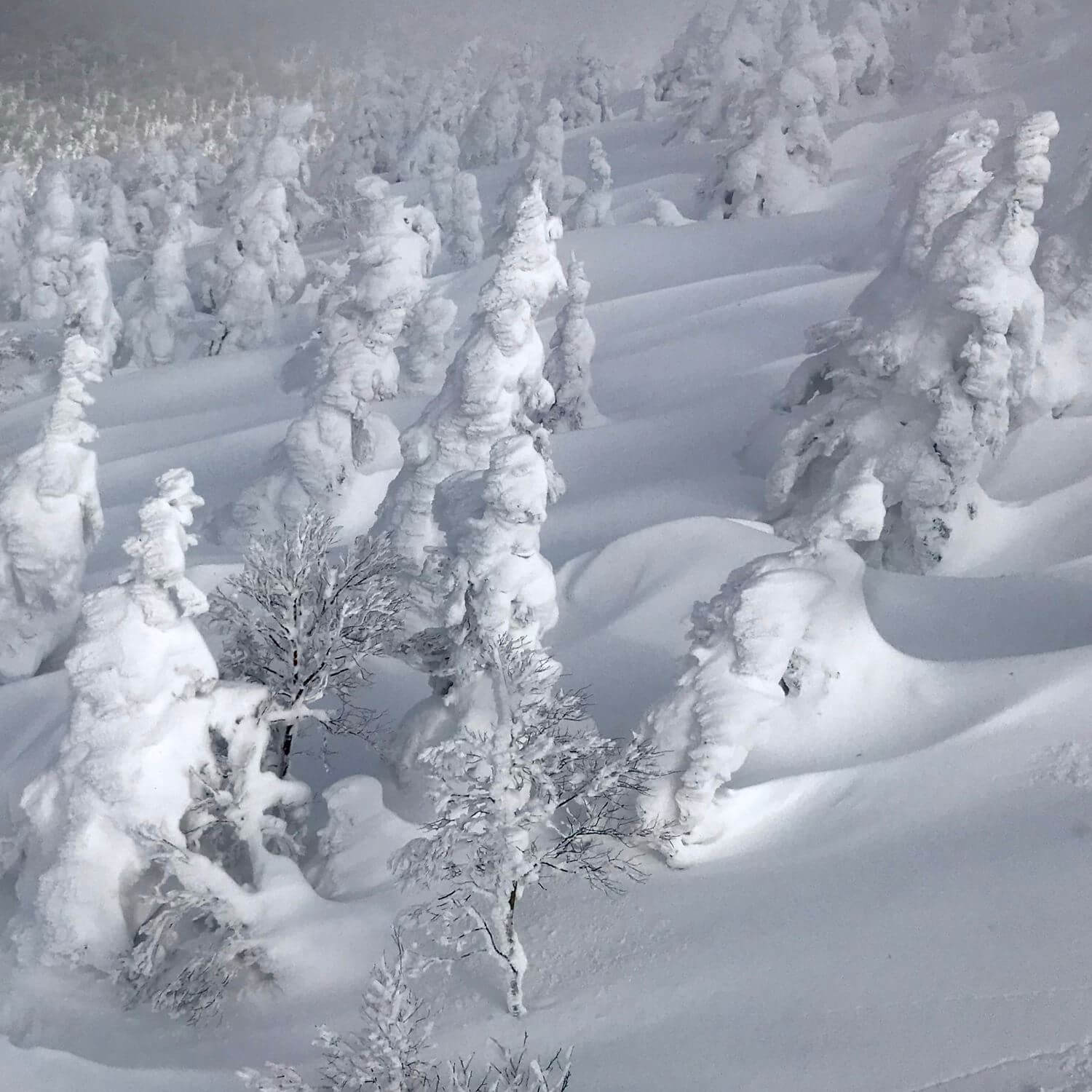 Hakkoda mountain in heavy snowfall, Aomori Prefecture, Japan = Shutterstock 4