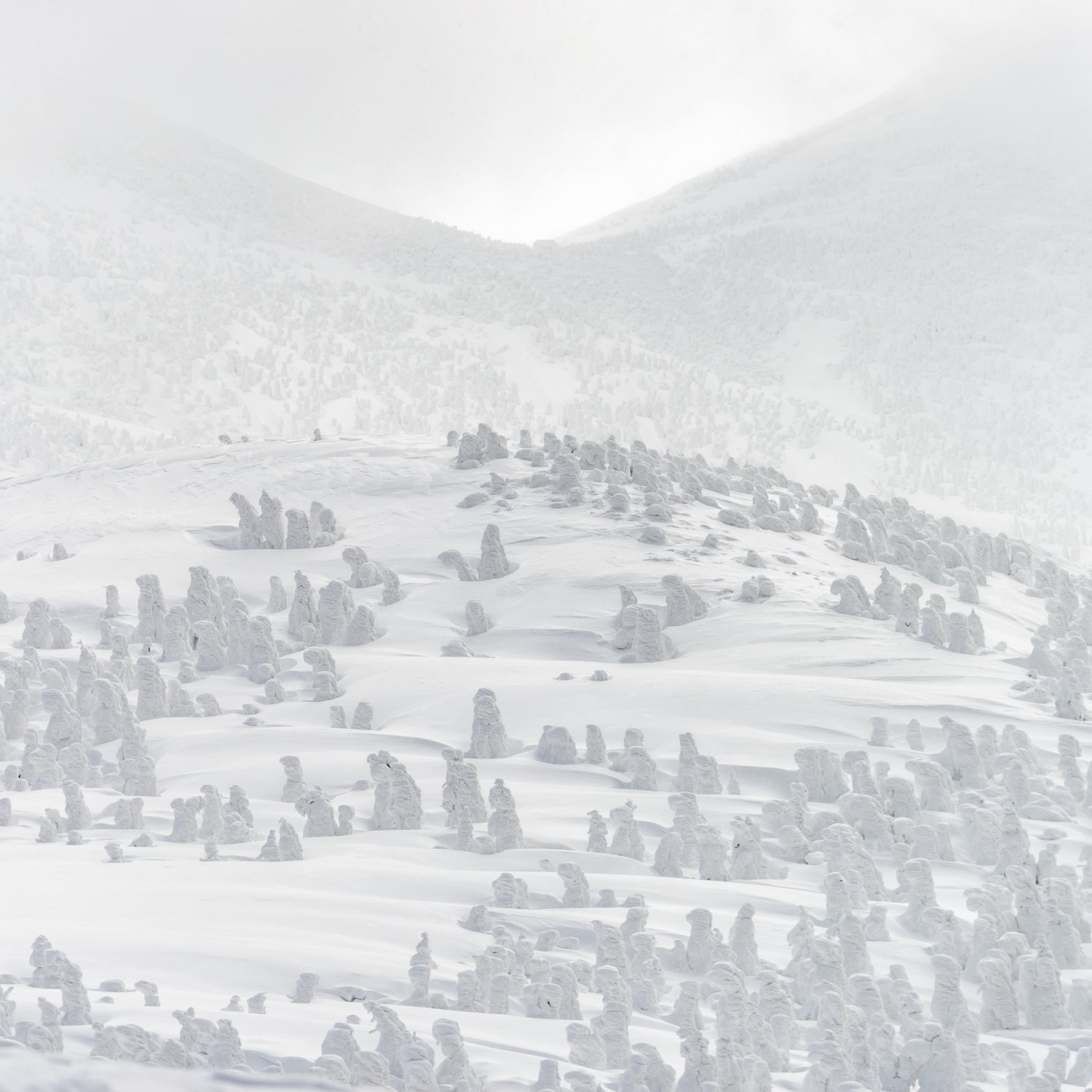 Hakkoda mountain in heavy snowfall, Aomori Prefecture, Japan = Shutterstock 7