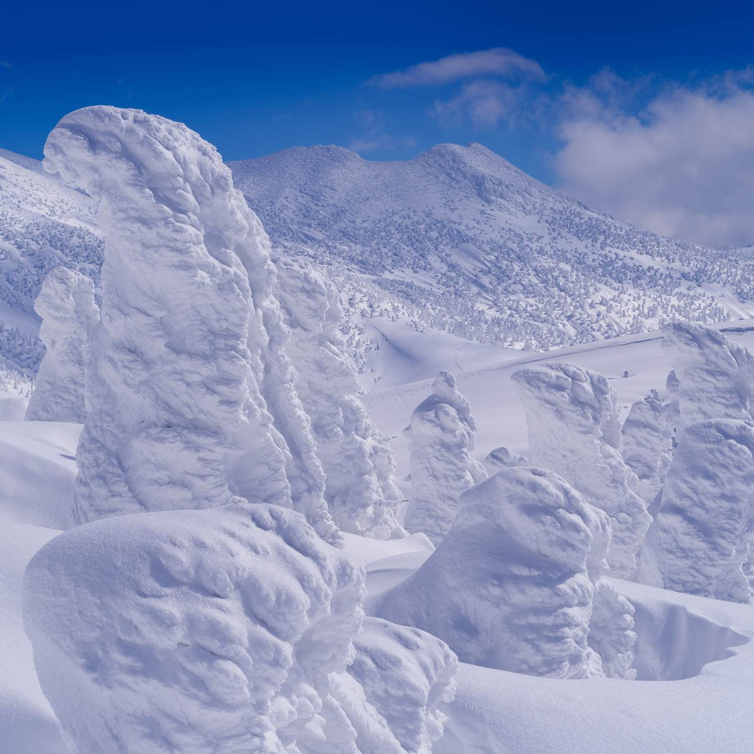 Hakkoda mountain in heavy snowfall, Aomori Prefecture, Japan = Shutterstock 9