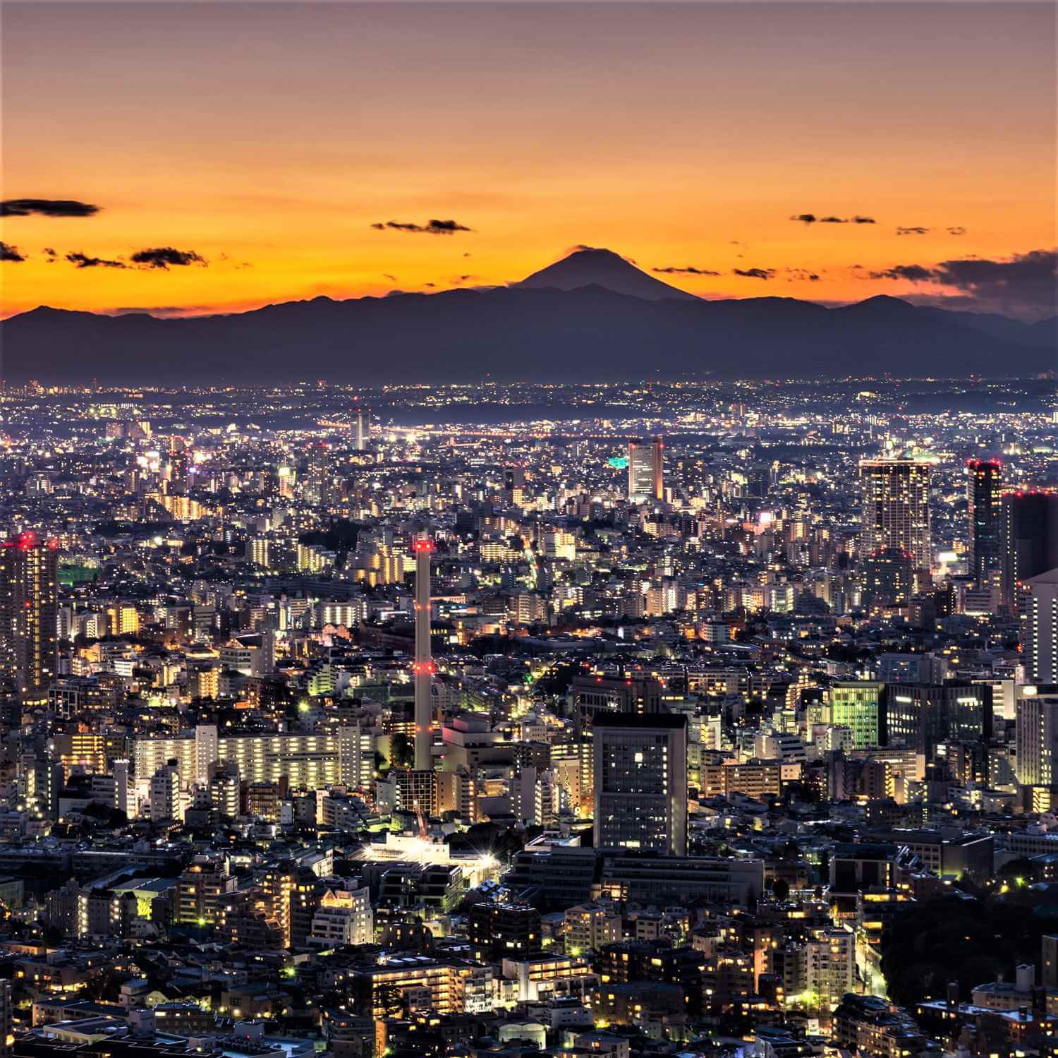 Roppongi Hills Mori Tower in Tokyo =AdobeStock 7