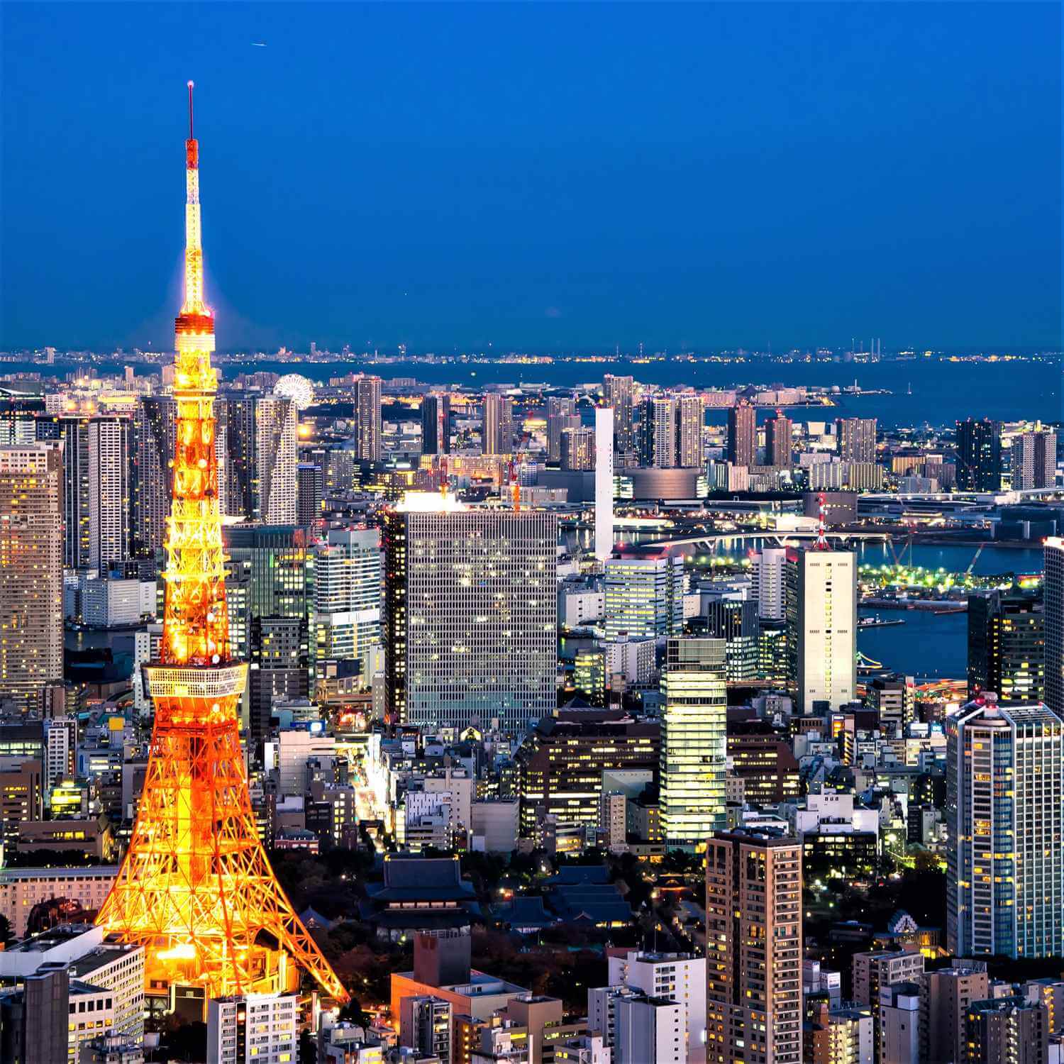 Roppongi Hills Mori Tower in Tokyo = Shutterstock 8