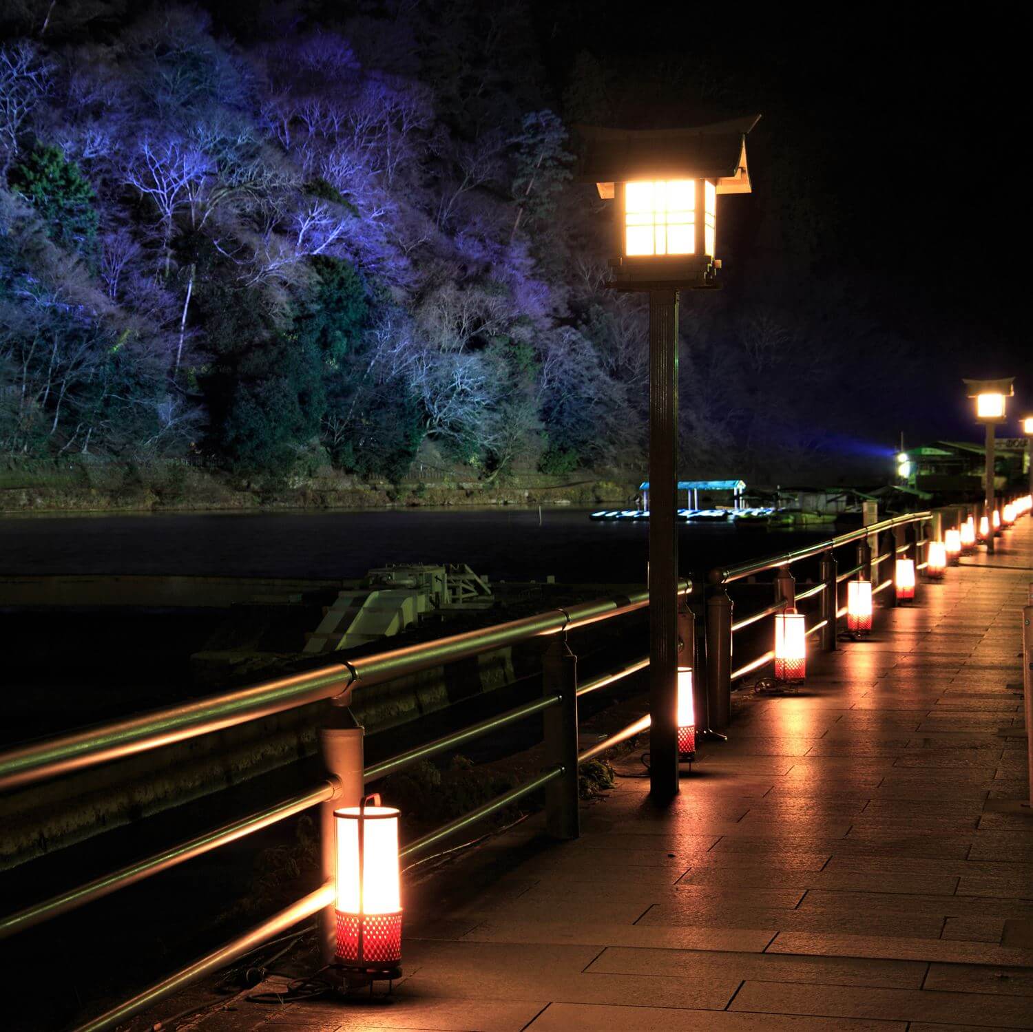 The fantastic illumination “Hanatouro” in Arashiyama, Kyoto = AdobeStock 5