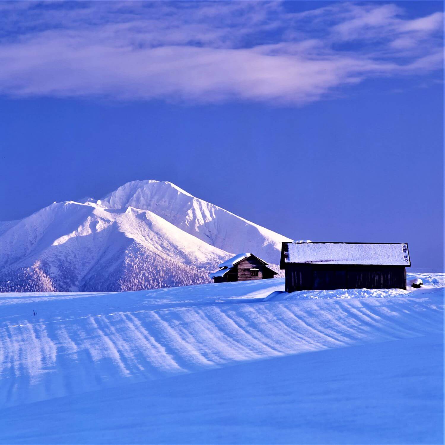 Vast landscape of Hokkaido in winter = AdobeStock