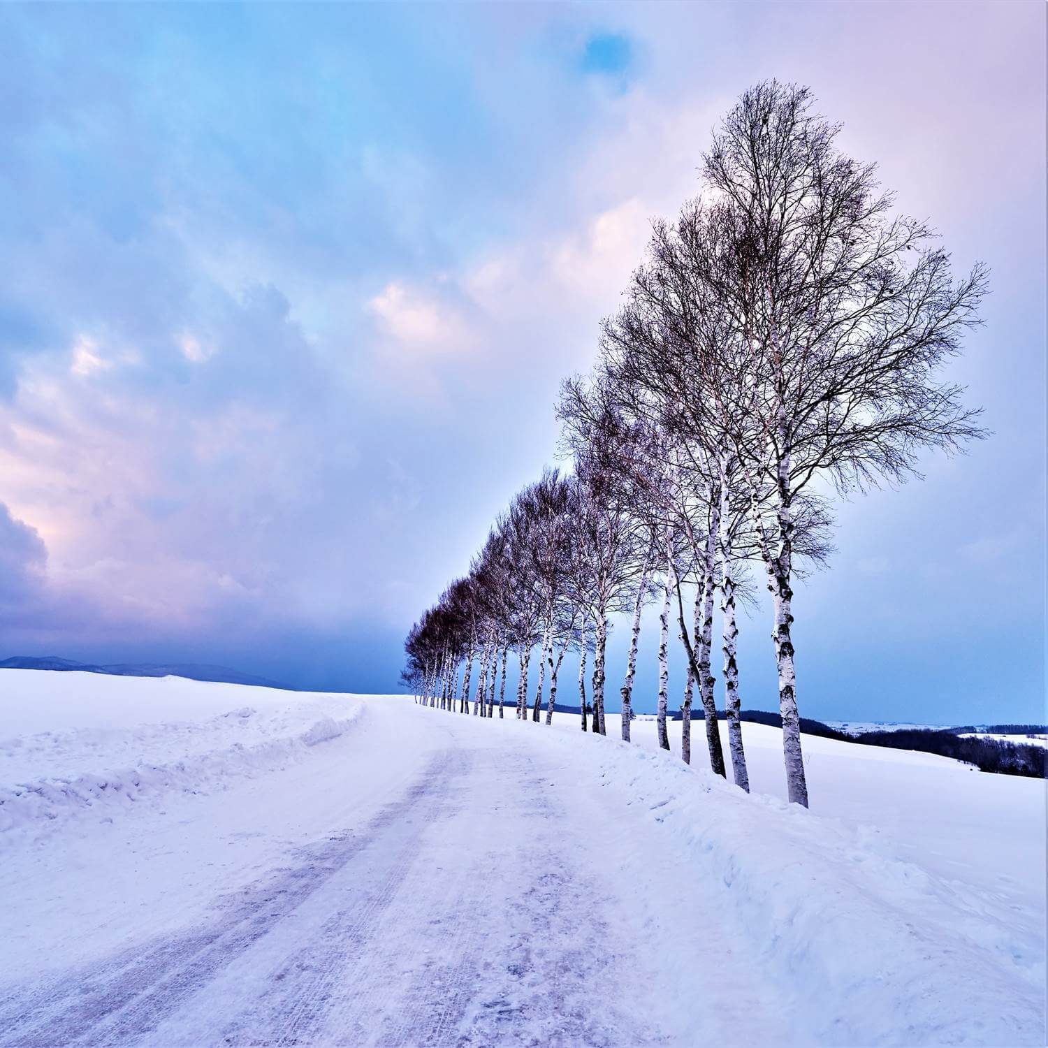 Vast landscape of Hokkaido in winter = Shutterstock 6