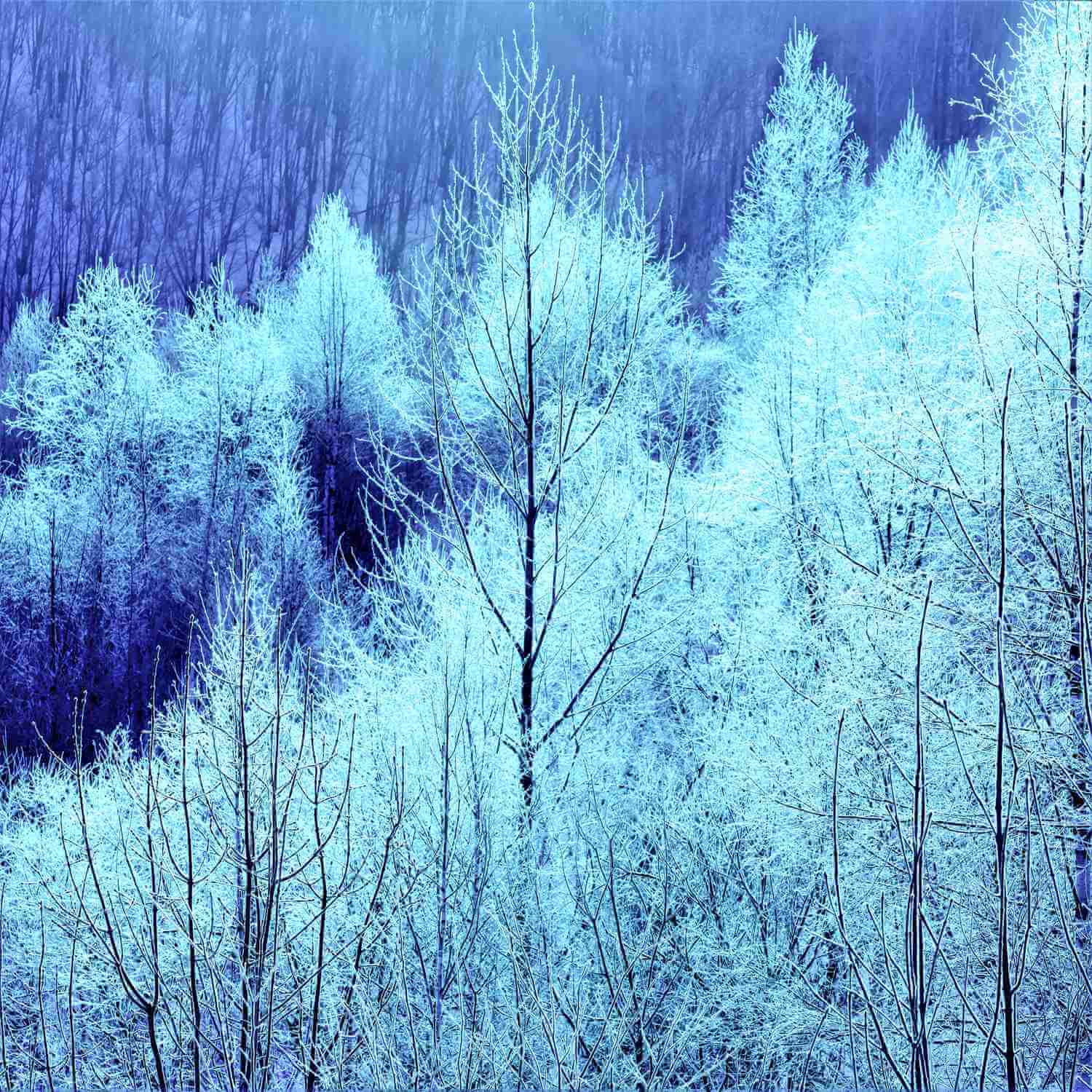 Vast landscape of Hokkaido in winter = AdobeStock 8