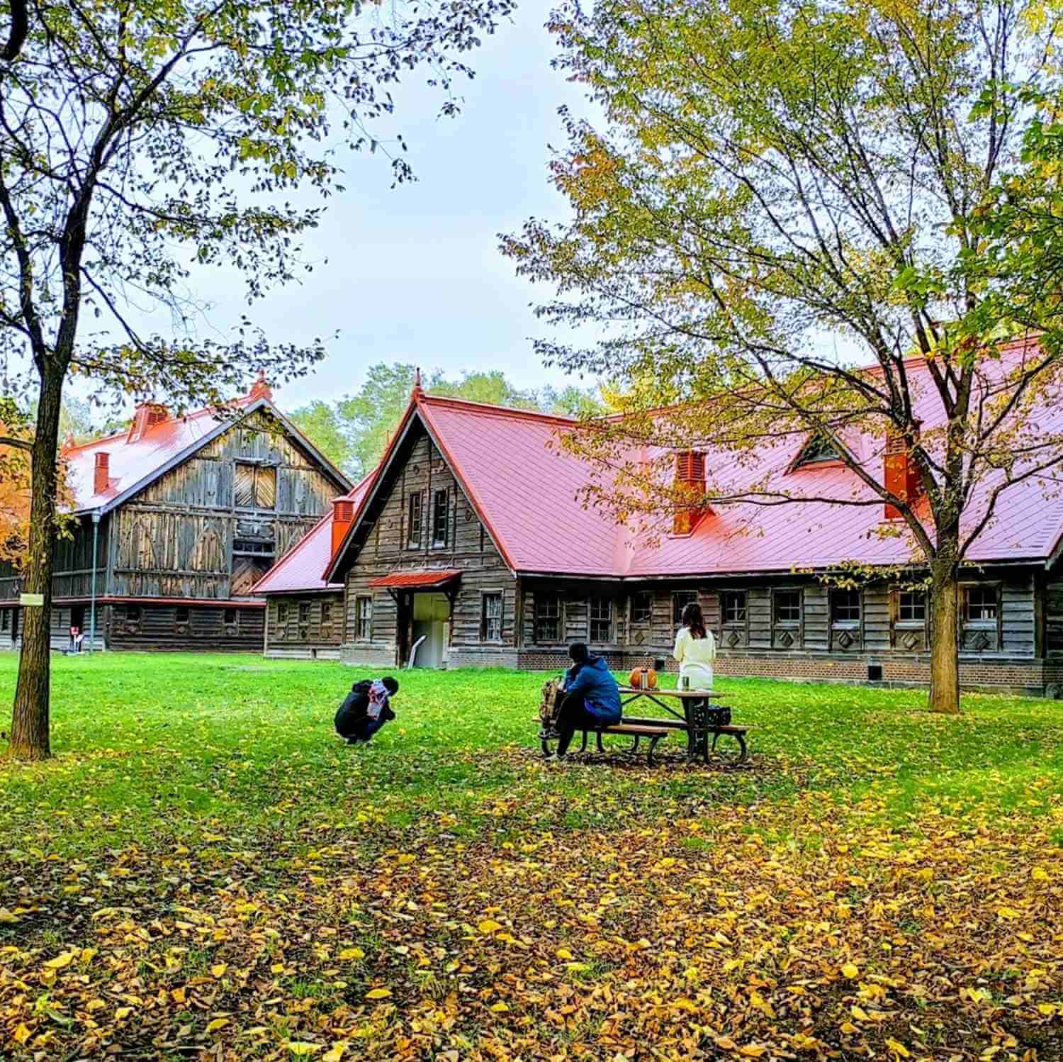 The vast and beautiful campus of Hokkaido University, Sapporo, Hokkaido 5