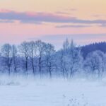 Winter landscape in Hokkaido = AdobeStock 1