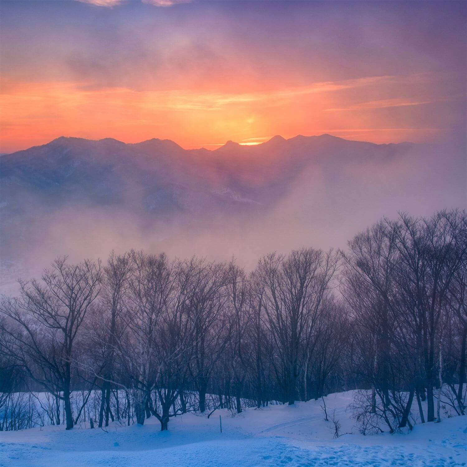 Winter landscape in Hokkaido = AdobeStock 10