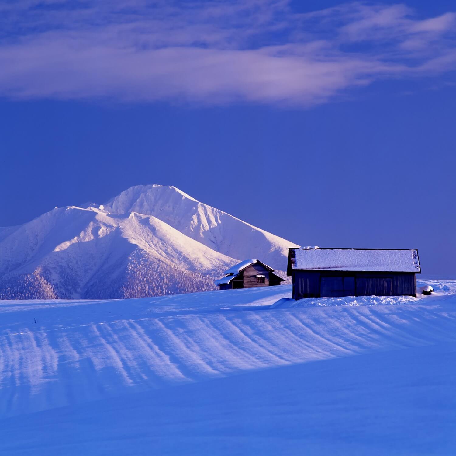 Winter landscape in Hokkaido = AdobeStock 4