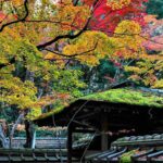 Daitokuji Temple in Kyoto = Shutterstock 1