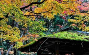 Daitokuji Temple in Kyoto = Shutterstock 1
