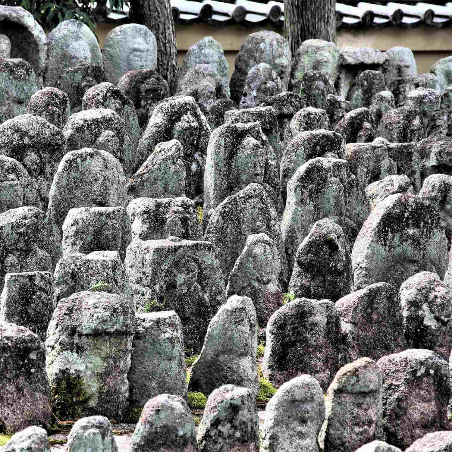 Daitokuji Temple in Kyoto = Shutterstock 6