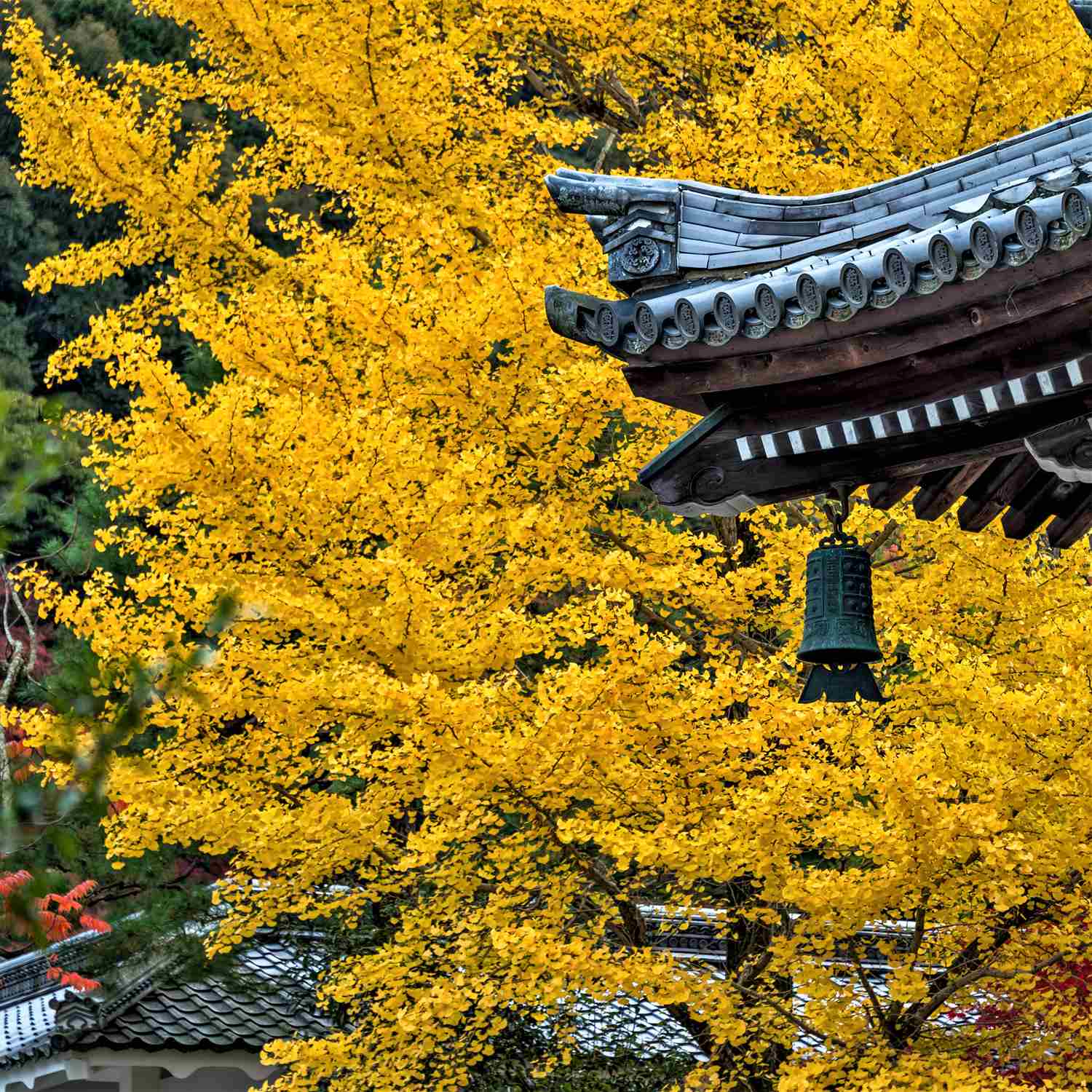 Nanzenji Temple in Kyoto = Shutterstock 4