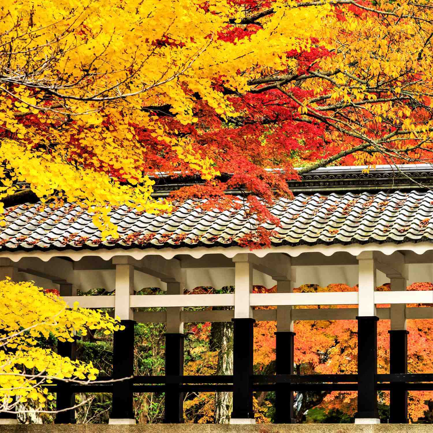 Nanzenji Temple in Kyoto = Shutterstock 6