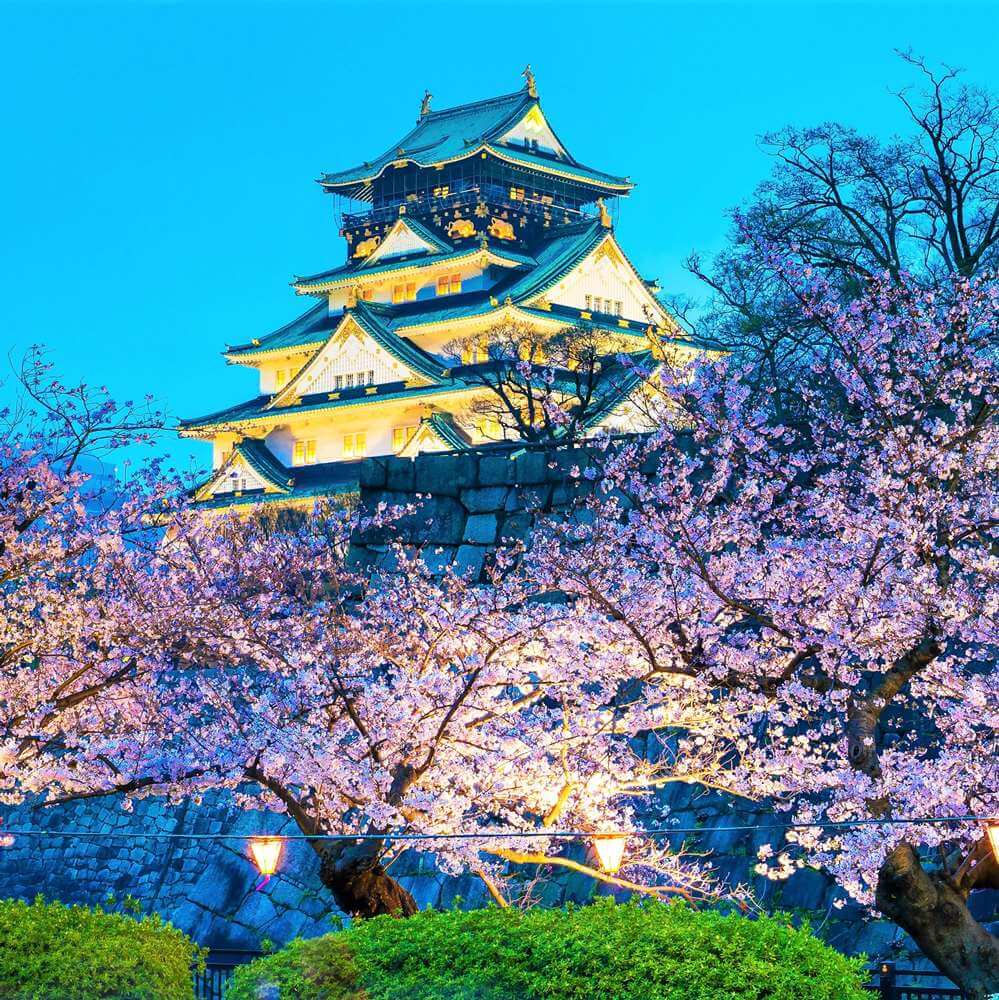 Photos: Osaka Castle -Enjoy the wonderful view from the top floor!