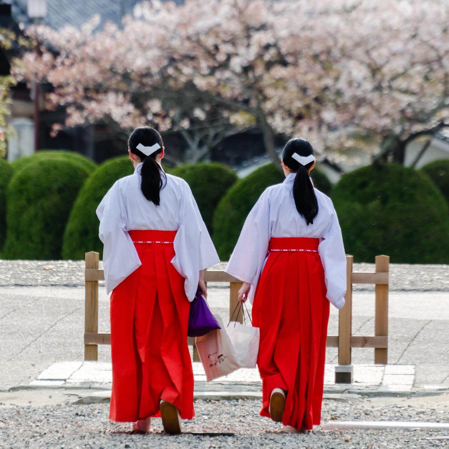 Priestesses at the Shrine of Izumo Shrine in Izumo City, Shimane Prefecture = Shuttetstock