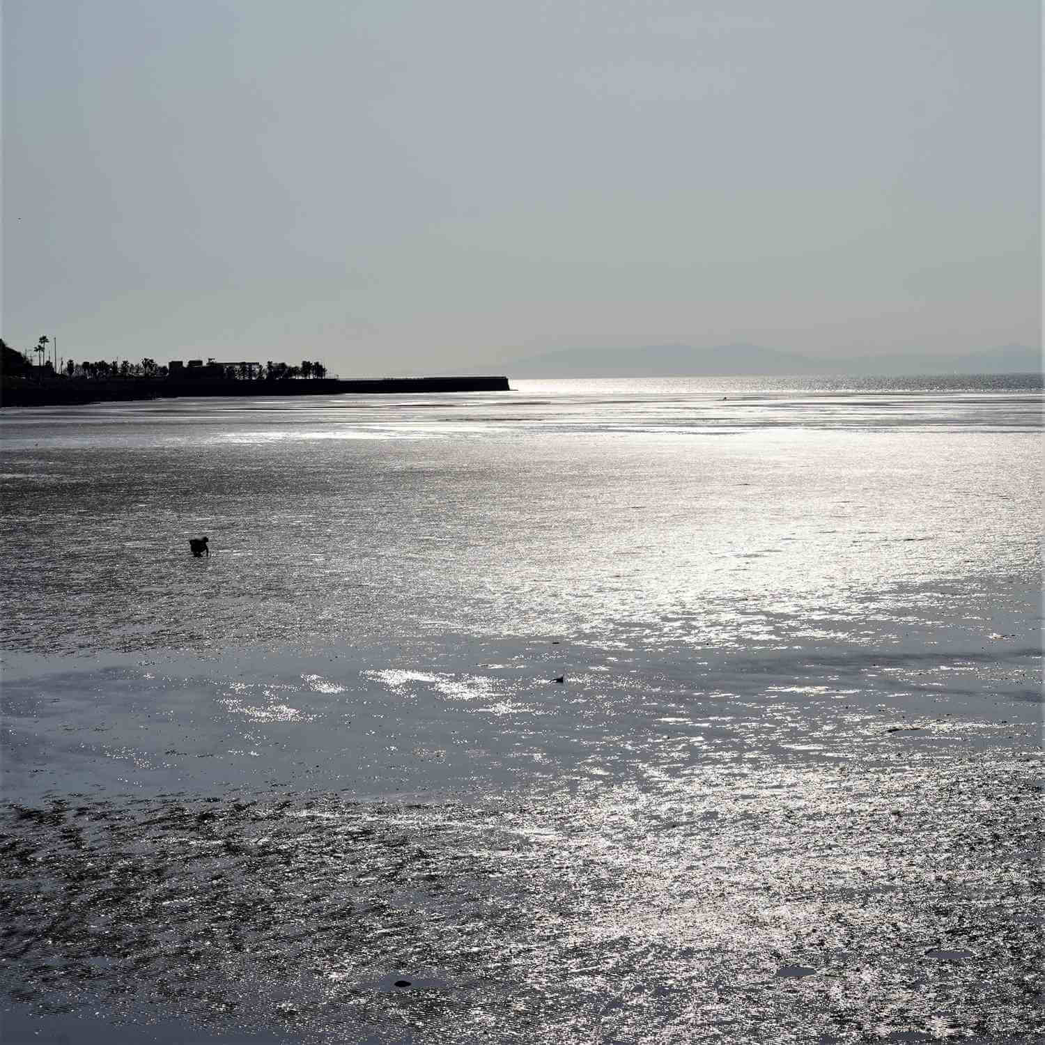 Okoshiki Coast in the Ariake Sea, Kyushu = Shutterstock 4