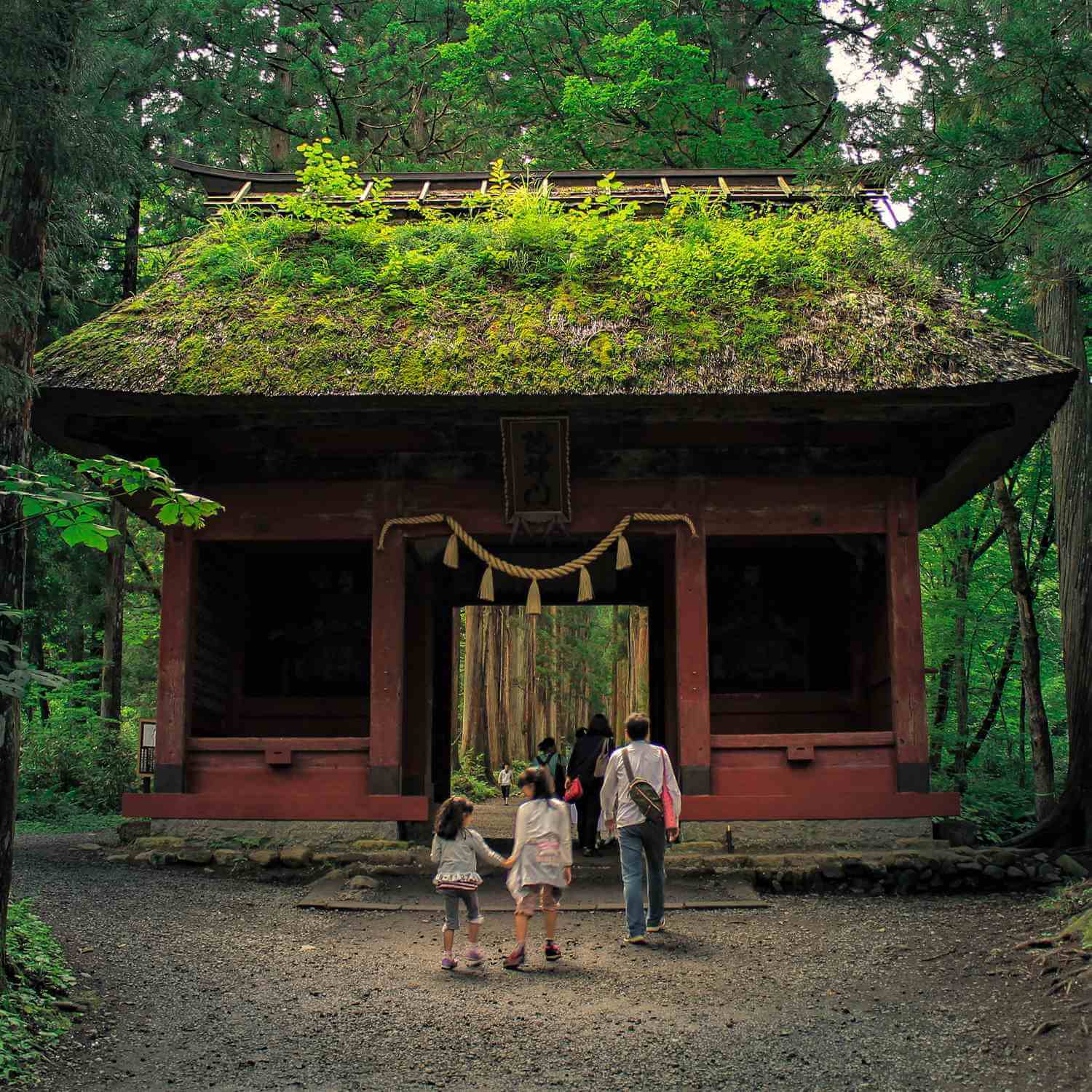 Togakushi Shrine in Nagano Prefecture = Shutterstock 3