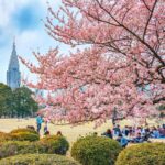 Shinjuku Gyoen National Garden in Tokyo = Shutterstock 1