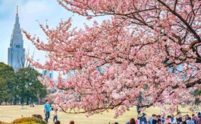 Shinjuku Gyoen National Garden in Tokyo = Shutterstock 1