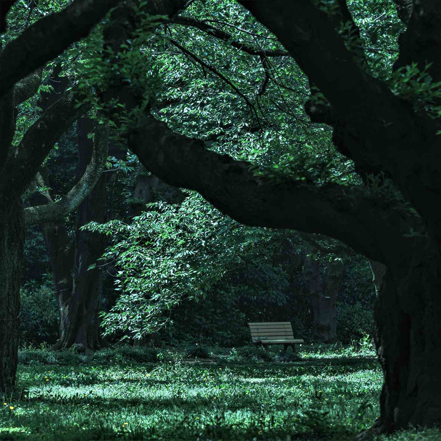 Shinjuku Gyoen National Garden in Tokyo = Shutterstock 6