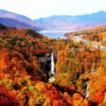 Autumn Landscape in Nikko = Pixta 1