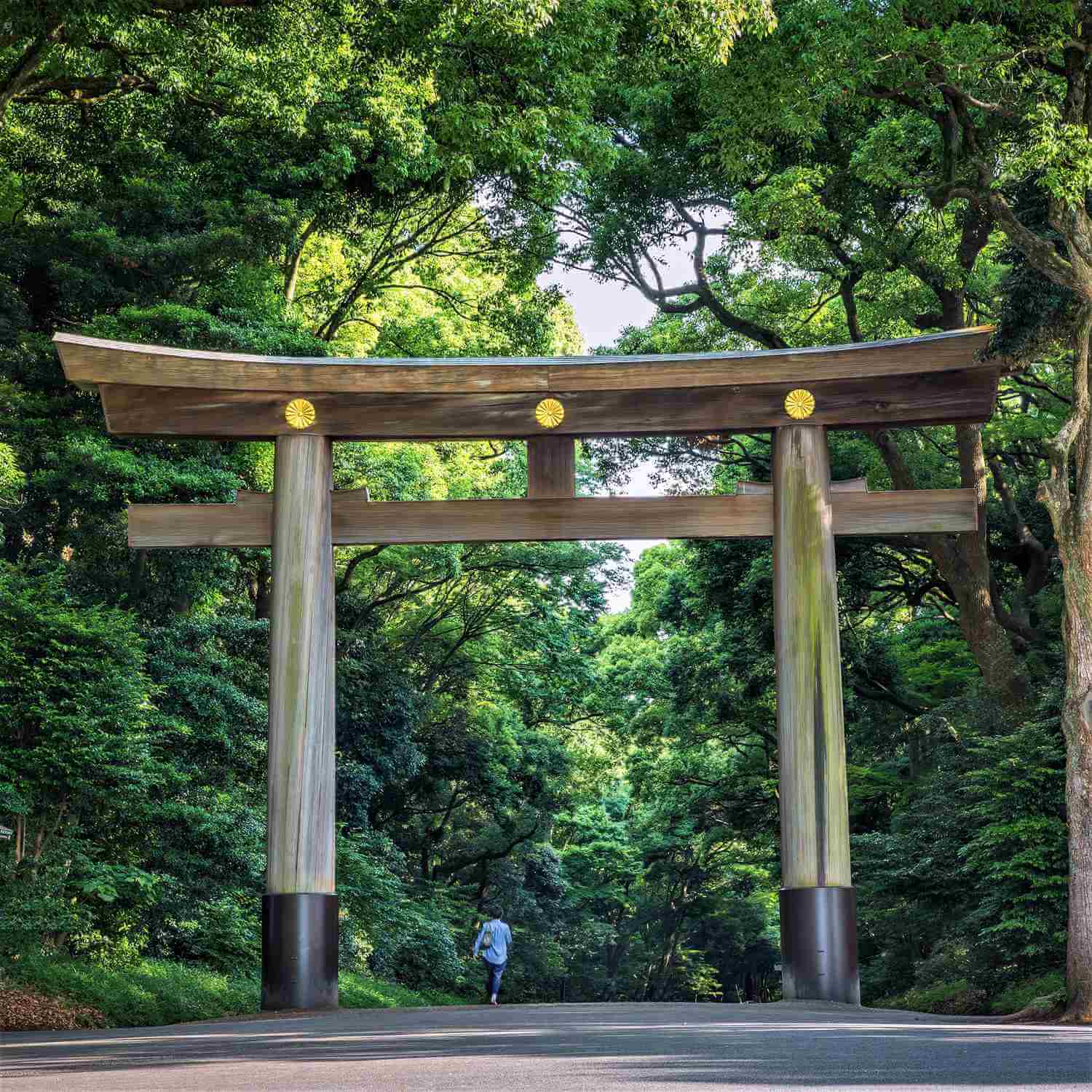 The Meiji Jingu Shrine in Tokyo = AdobeStock 2