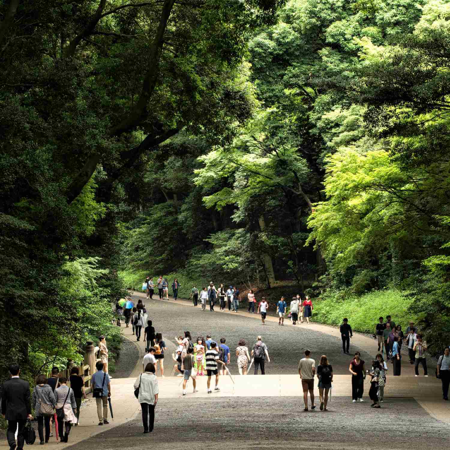 The Meiji Jingu Shrine in Tokyo = Shutterstock 4