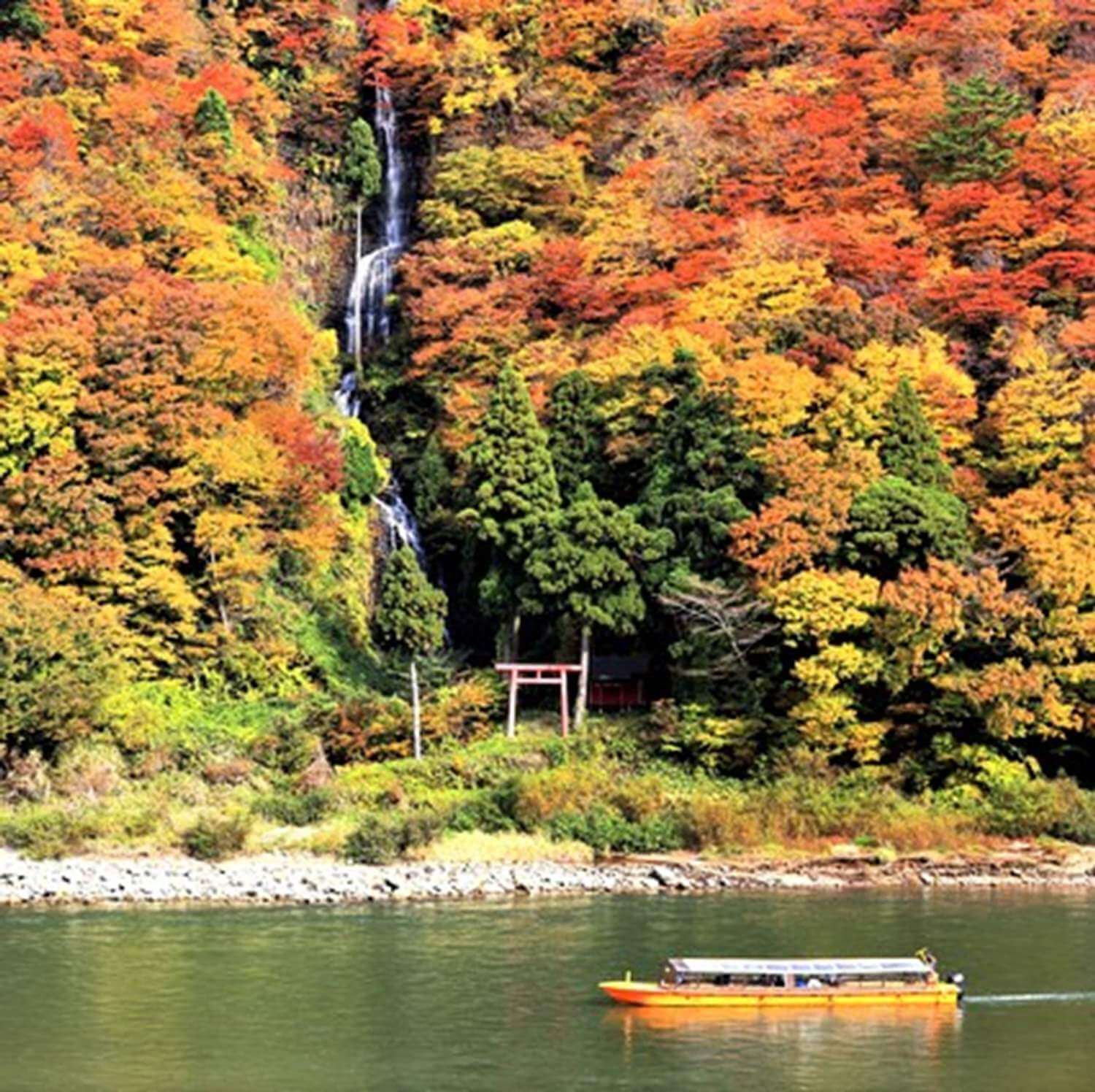 Mogami River in Yamagata Prefecture = Pixta 5