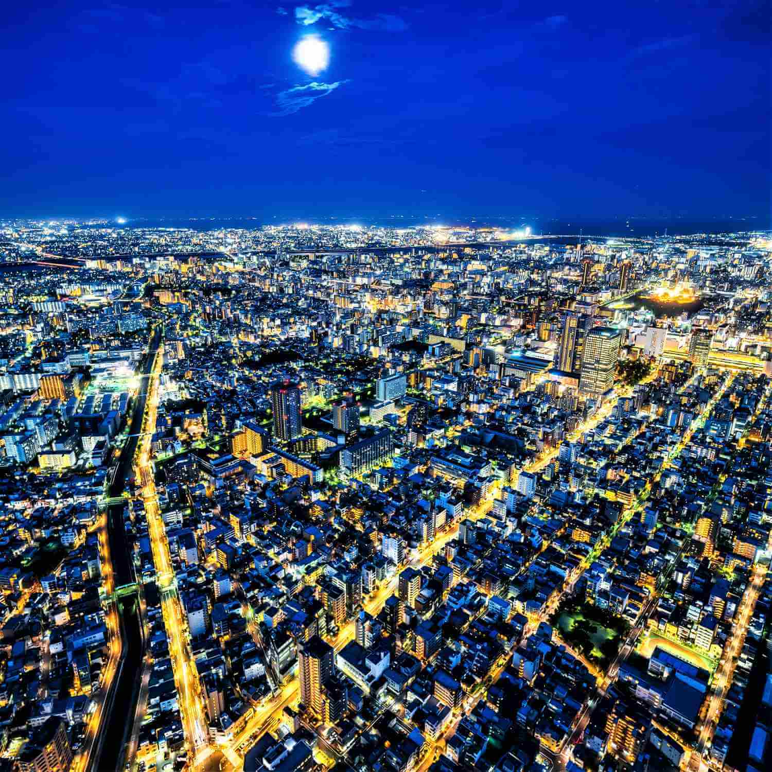 Tokyo seen from the sky = Shutterstock 10