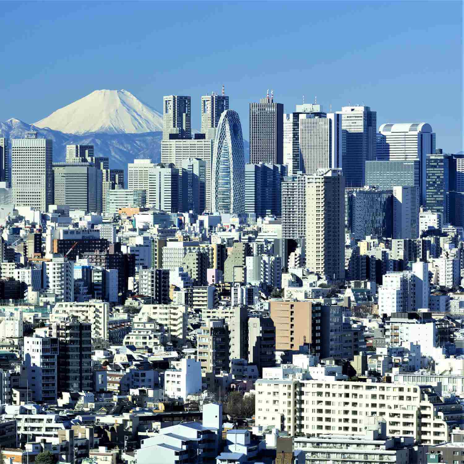 Tokyo seen from the sky = Shutterstock 4