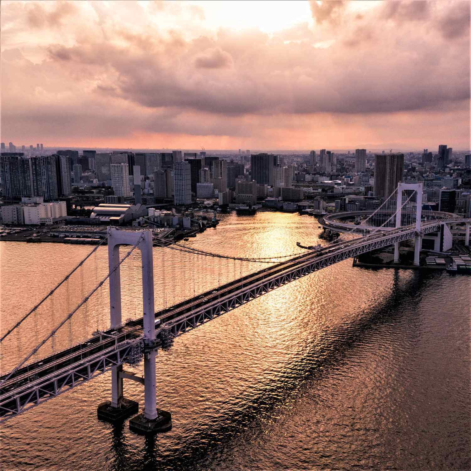 Tokyo seen from the sky = Shutterstock 6