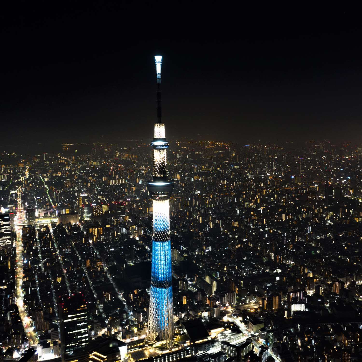 Tokyo seen from the sky = Shutterstock 9