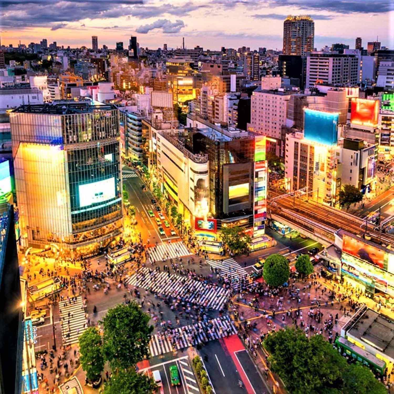 Tokyo's Best Night View Spots (2)Shibuya = Shutterstock