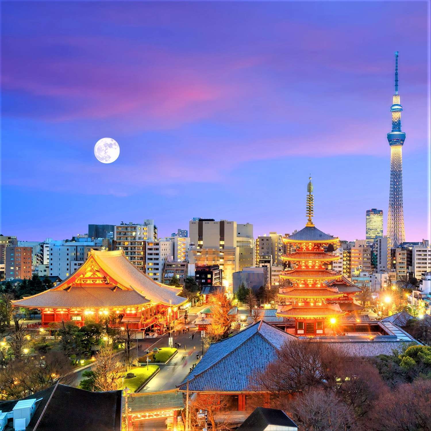 Tokyo's Best Night View Spots (7) Asakusa = Shutterstock