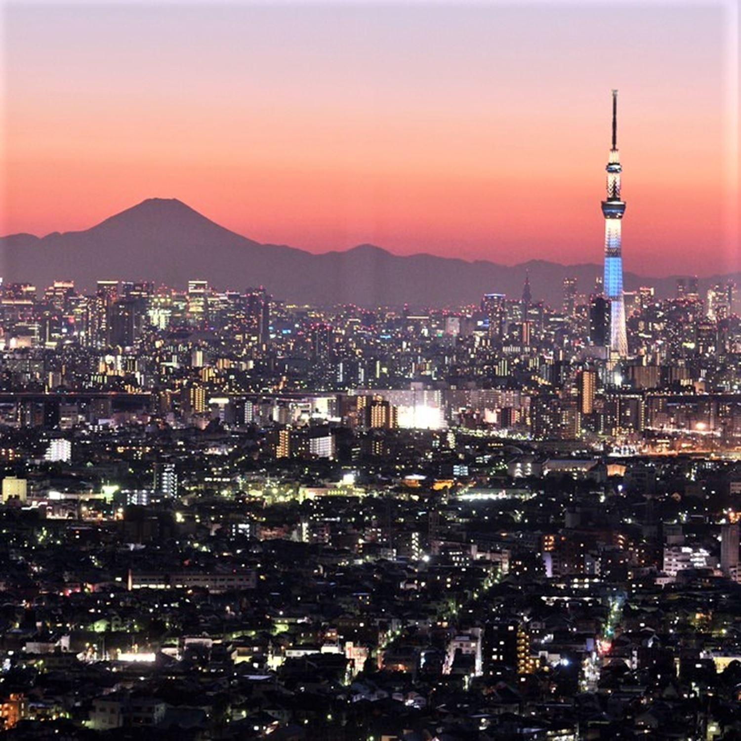 Tokyo's Best Night View Spots (8) Tokyo Skytree = Shutterstock