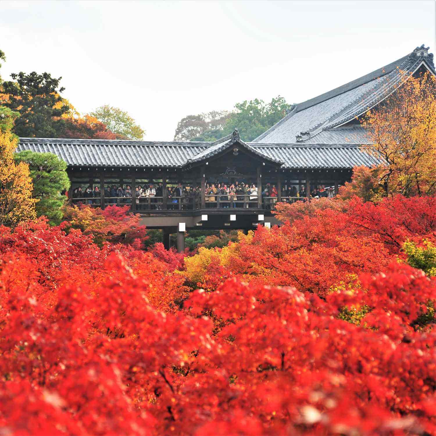 Autumn colors at Tofukuji Temple, Kyoto = Shutterstock 2