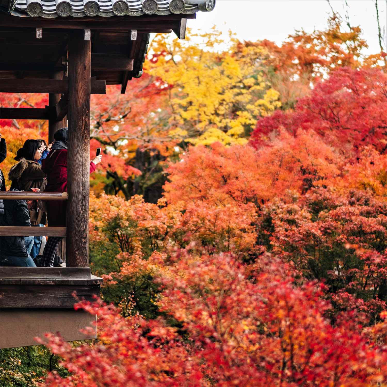 Autumn colors at Tofukuji Temple, Kyoto = Shutterstock 3