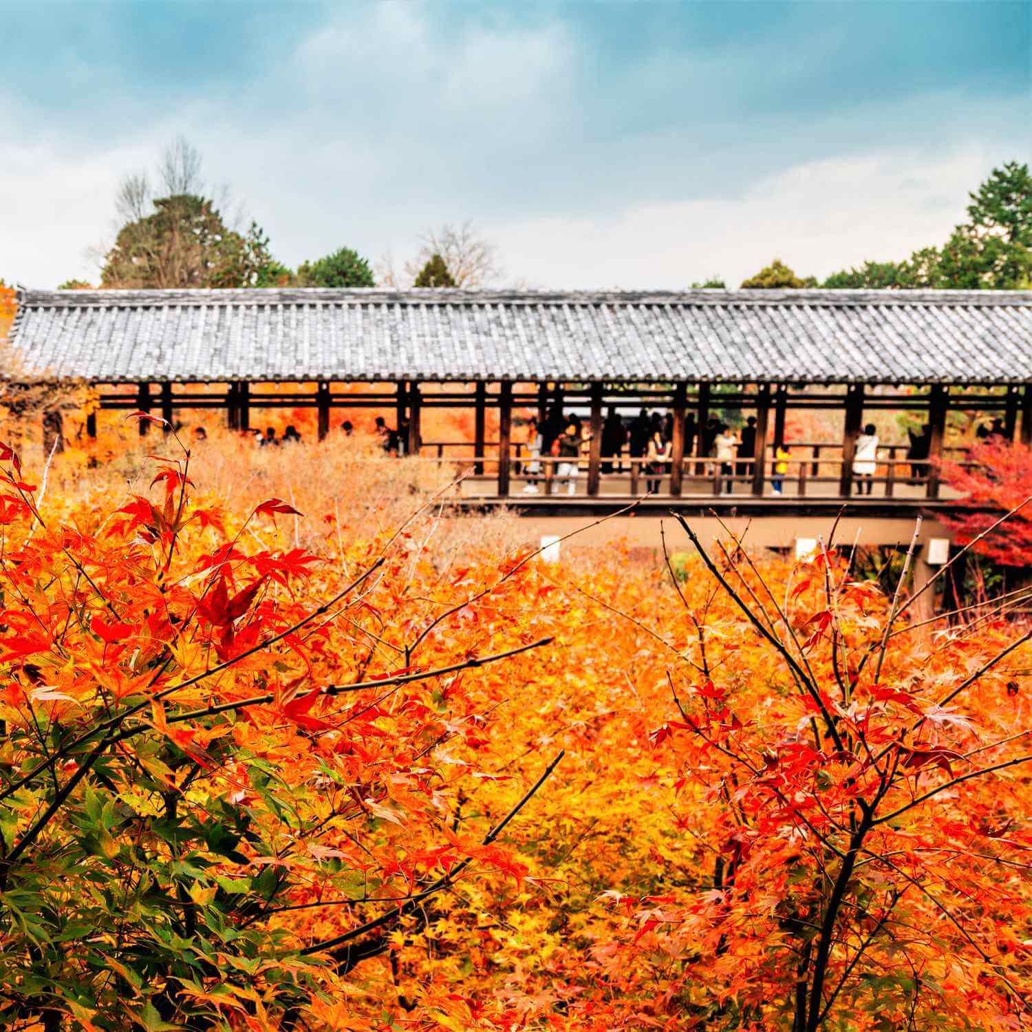 Autumn colors at Tofukuji Temple, Kyoto = Shutterstock 7