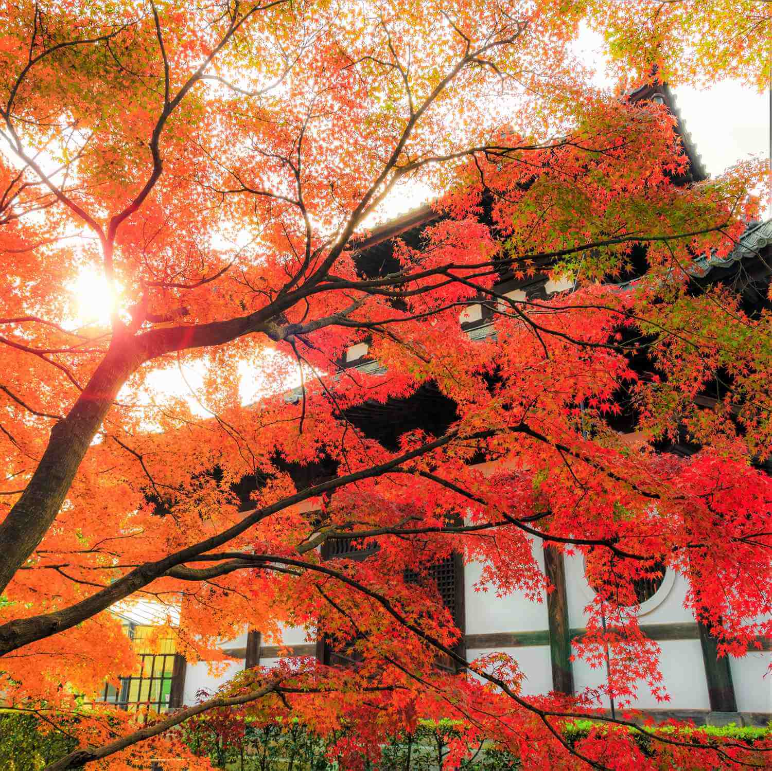 Autumn colors at Tofukuji Temple, Kyoto = Shutterstock 8