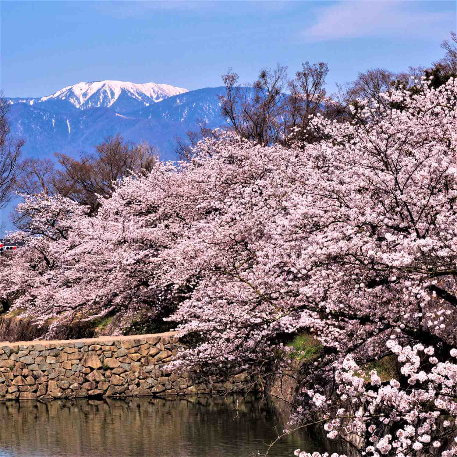 Matsumoto Castle in Nagano Prefecture = Shutterstock 6