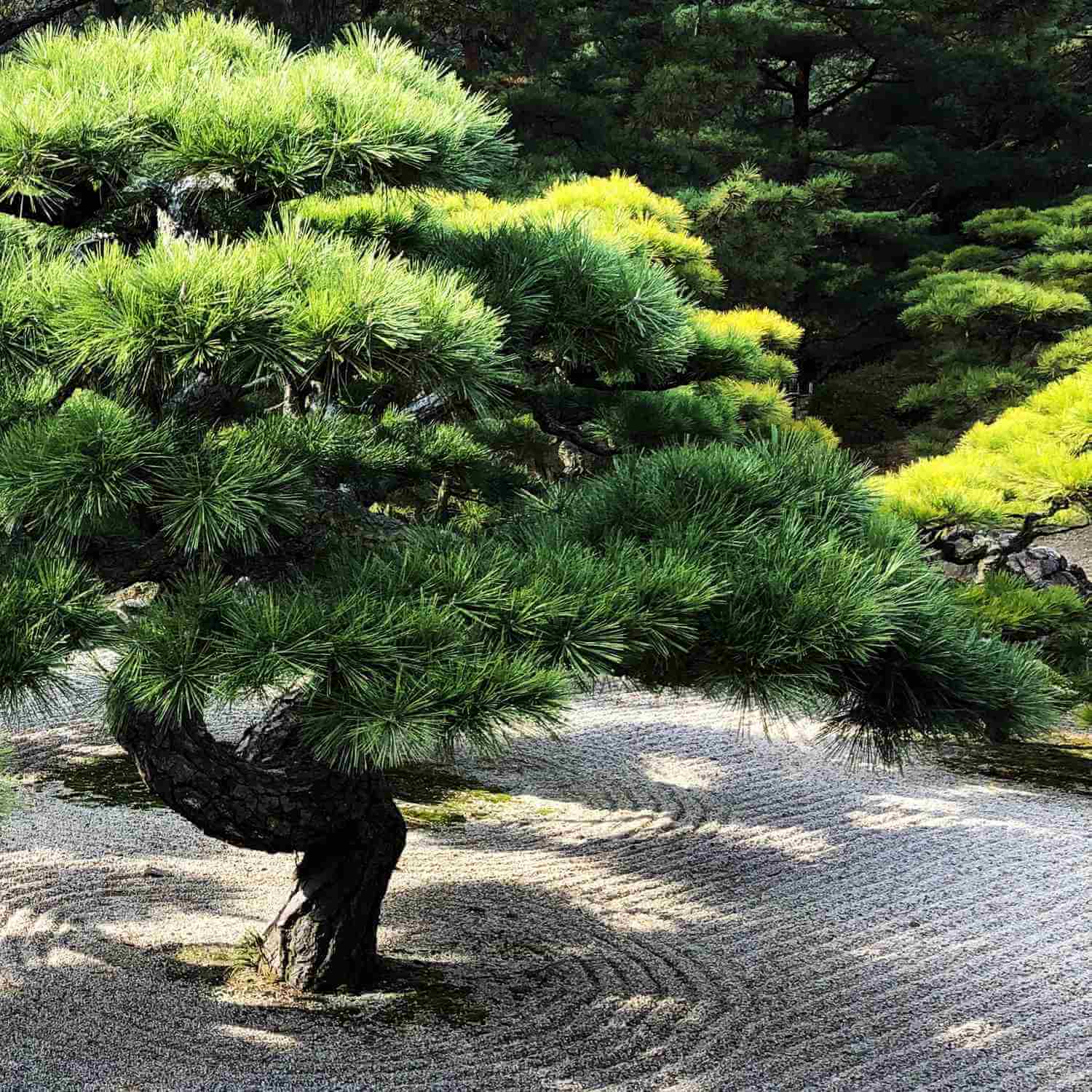 Ritsurin Garden in Takamatsu City, Kagawa Prefecture = Shutterstock 6